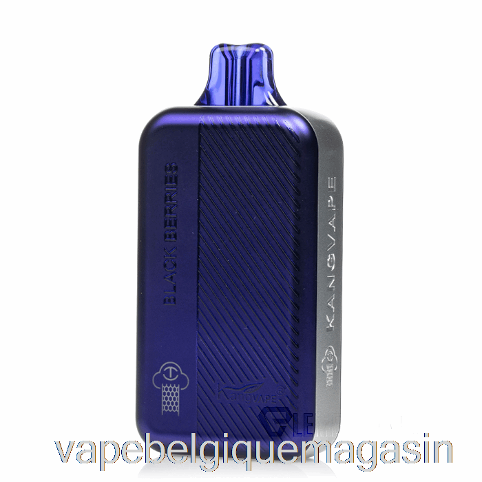 Vape Belgique Kangvape Tc8000 Baies Noires Jetables